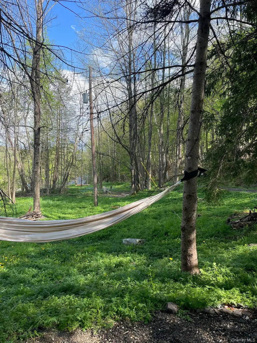 161 Pine Hill Road, Highmount, NY 12465 - Image #3