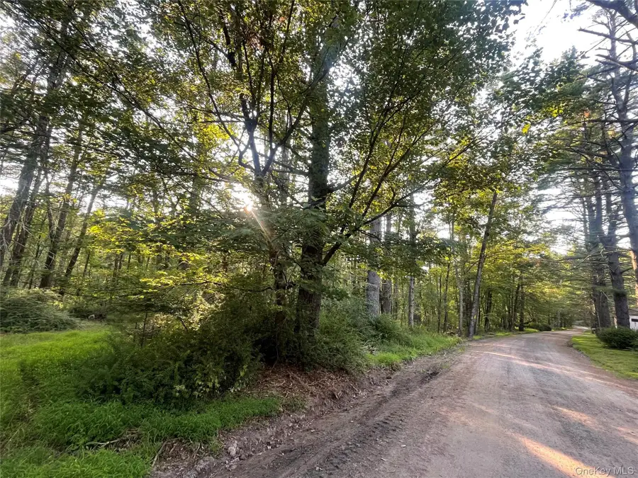 Loch Ada Road, Lumberland, NY 12737 - Image #3