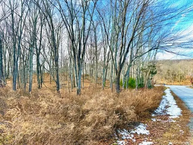 56 Route 209, Port Jervis, NY 12771 - Image #3