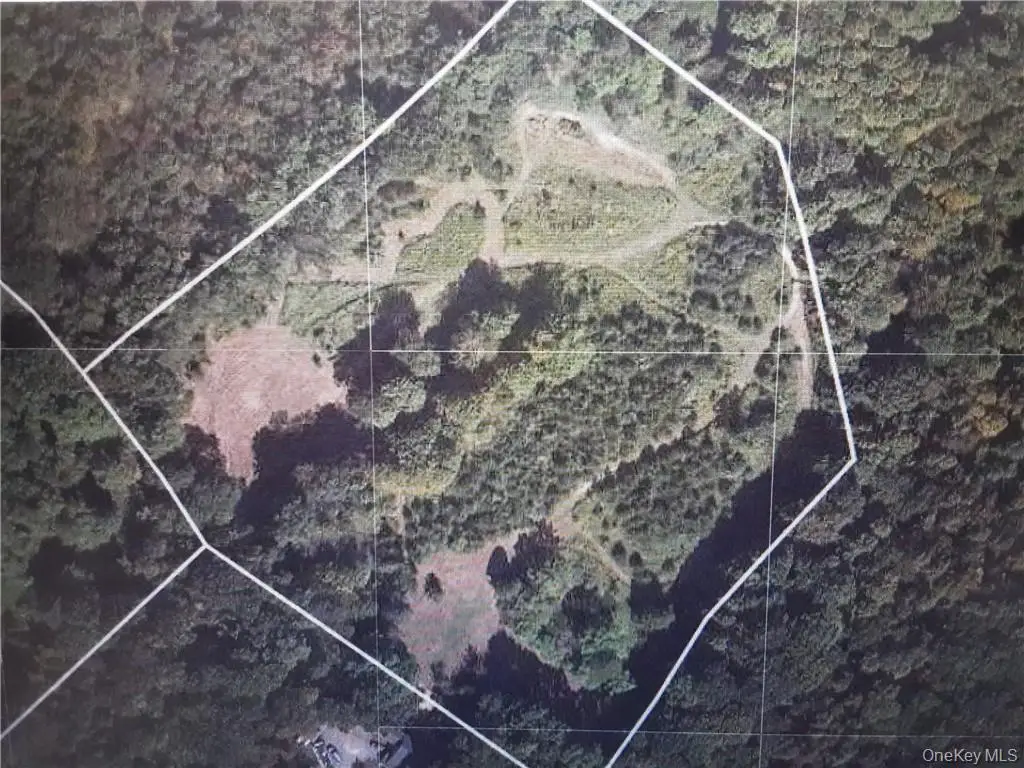 Oxford Road, Blooming Grove, NY 10914 - Image #1