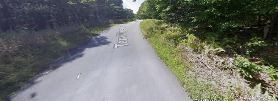 Lot 7 & 8 Terwilliger Road, Livingston Manor, NY 12758 - Image #2
