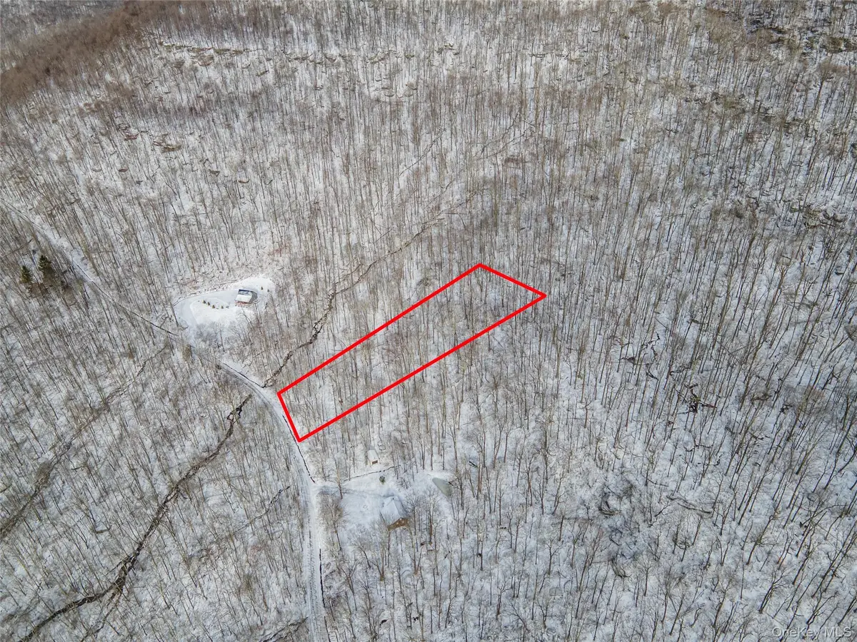 499 Cross Mountain Road, Livingston Manor, NY 12758 - Image #1