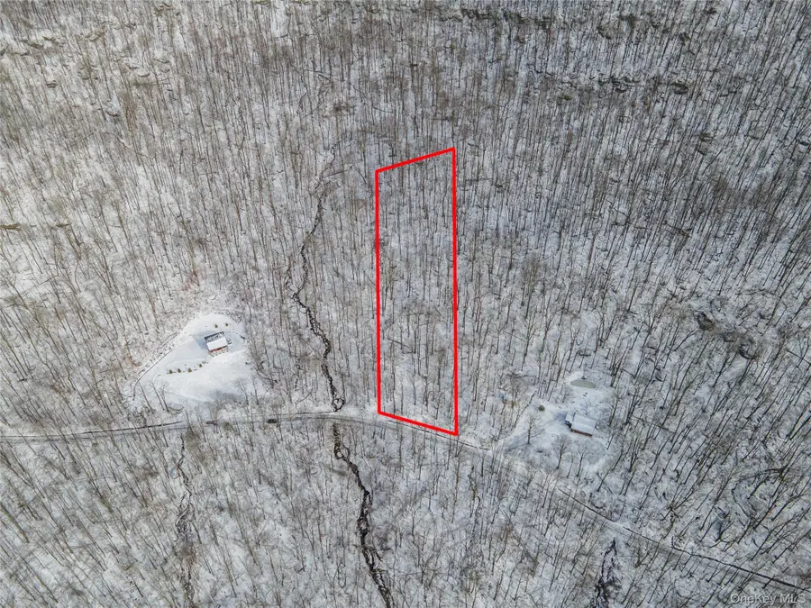 499 Cross Mountain Road, Livingston Manor, NY 12758 - Image #2