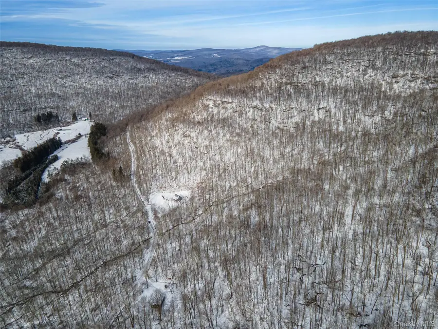 499 Cross Mountain Road, Livingston Manor, NY 12758 - Image #3