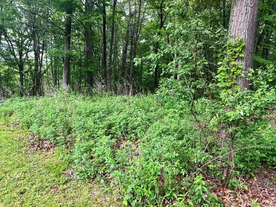 36 Sylvia Barlow Way, Brewster, NY 10509 - Image #3