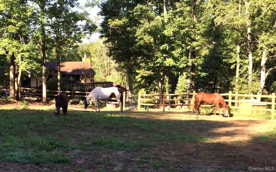 51 Forestburgh Road, Forestburgh, NY 12777 - Image #3