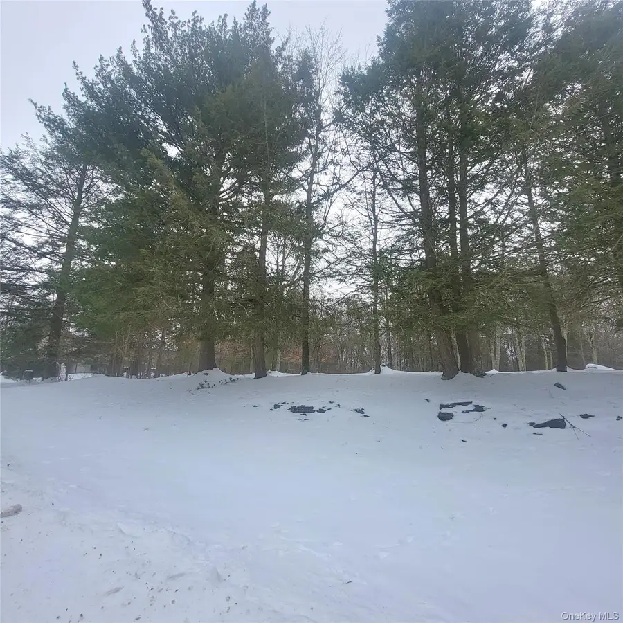 000 Roslyn Ridge Road, Mongaup Valley, NY 12720 - Image #3