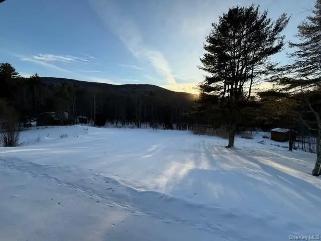 5597 Red Hill Road, Claryville, NY 12725 - #2