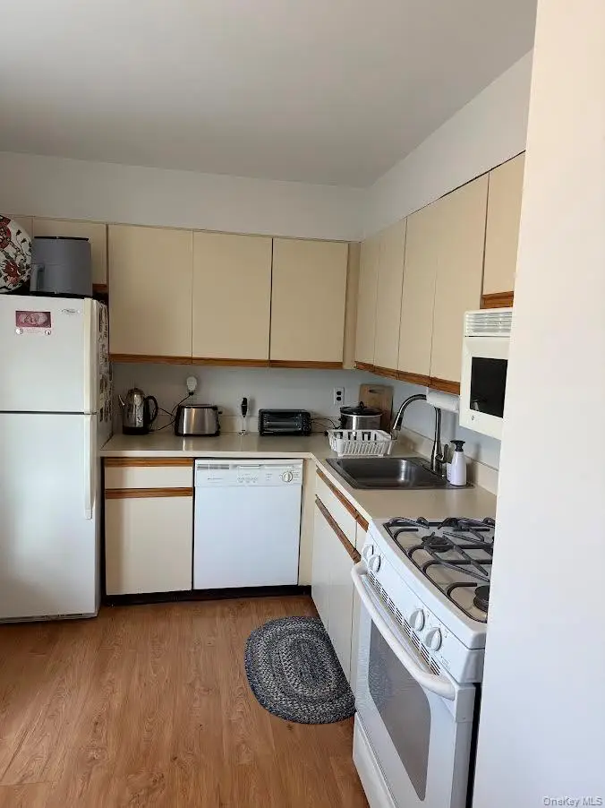 5 Dogwood Court #5, Selden, NY 11784 - Image #2