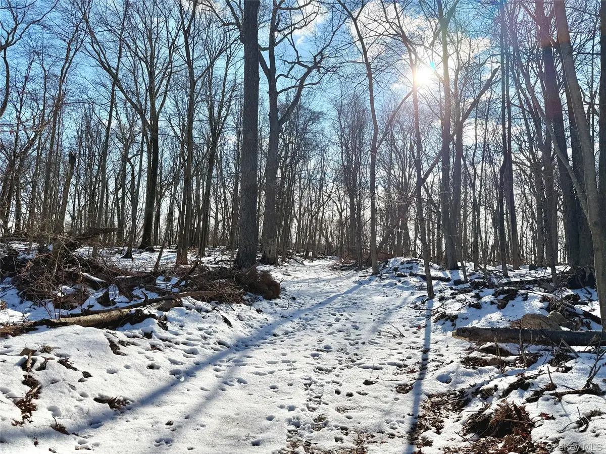 8 Maple Ridge Trail, North Salem, NY 10560 - Image #1