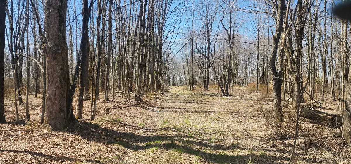 00 Liberty Street, Monticello, NY 12701 - Image #1