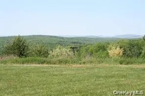 Meadowlark Road, Fallsburg, NY 12733 - #2