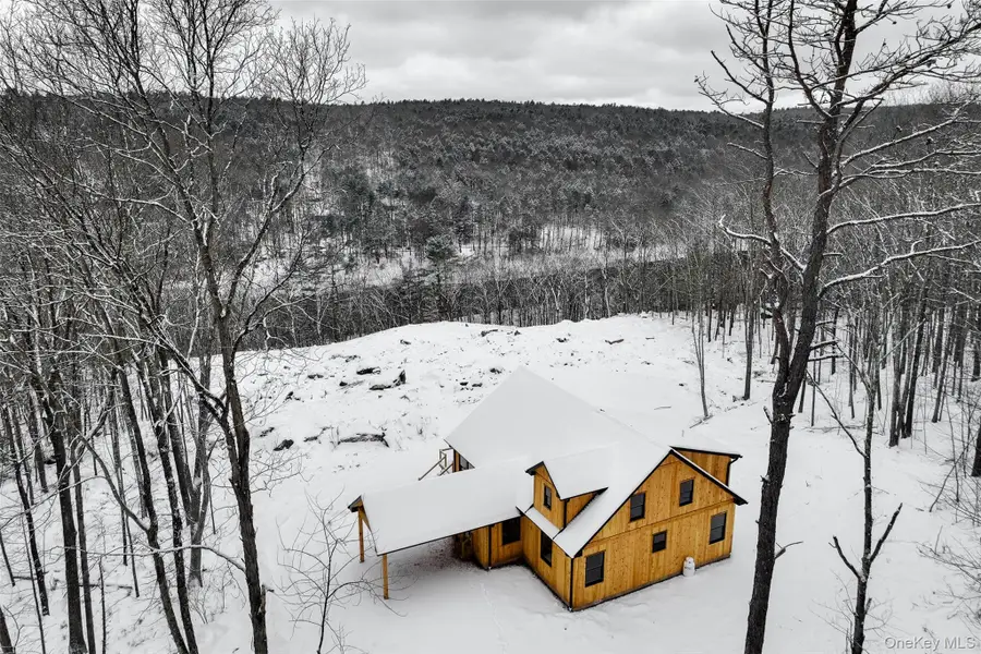 283 Humphrey Road, Narrowsburg, NY 12764 - Image #3