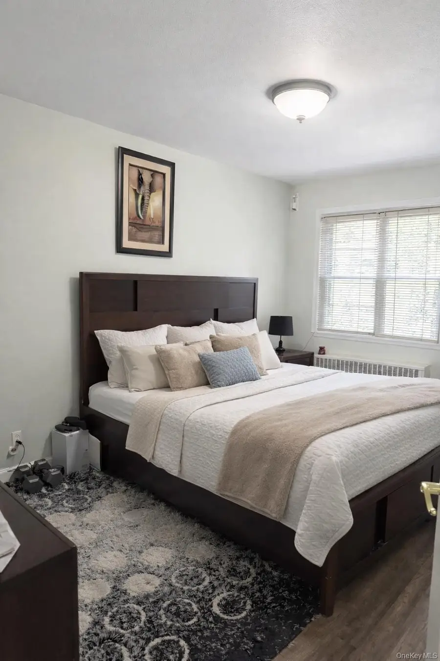 1154 E 100th Street, Brooklyn, NY 11236 - Image #2