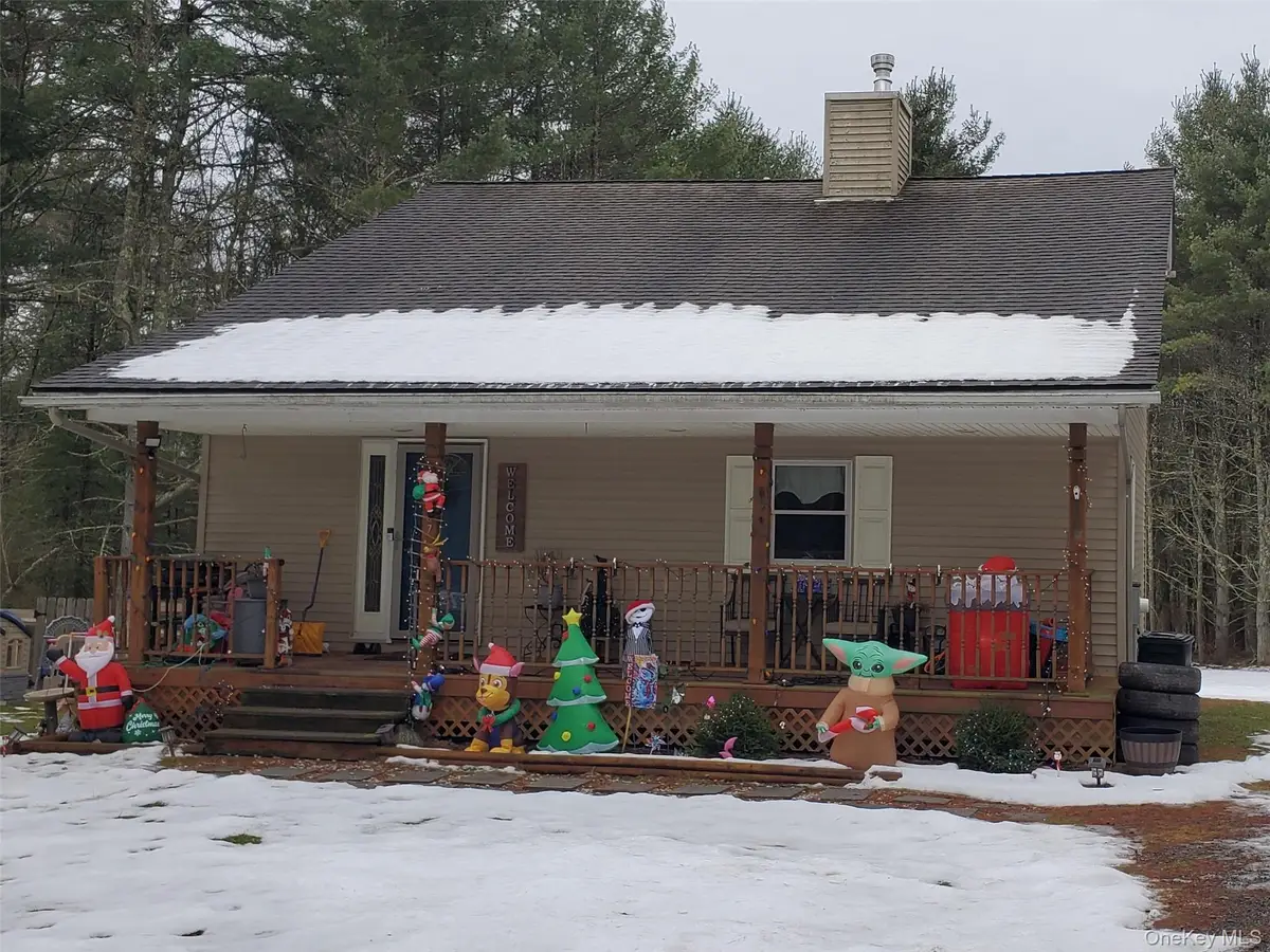 807 Beaverbrook Road, Narrowsburg, NY 12764 - Image #1