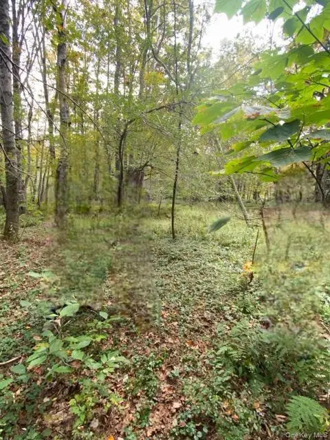 Cr 92, Roscoe, NY 12736 - Image #3