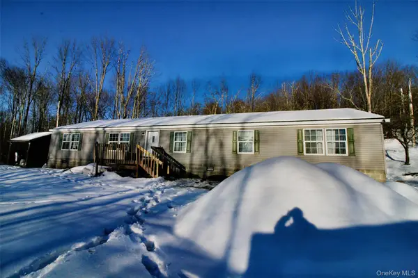 76 Parks Road, Livingston Manor, NY 12758