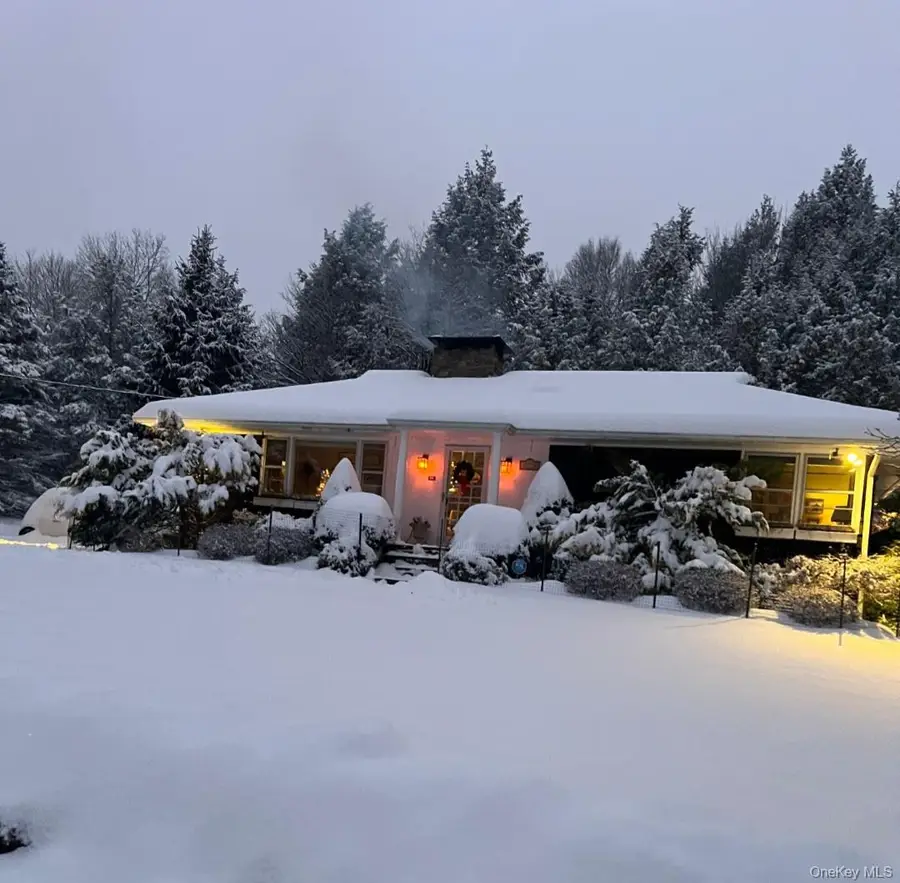 172 Wards Road, Livingston Manor, NY 12758 - Image #3