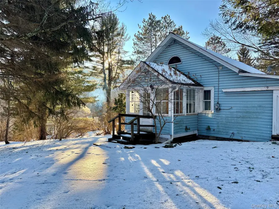 155 Lee Hollow Road, Delhi, NY 13753 - #3