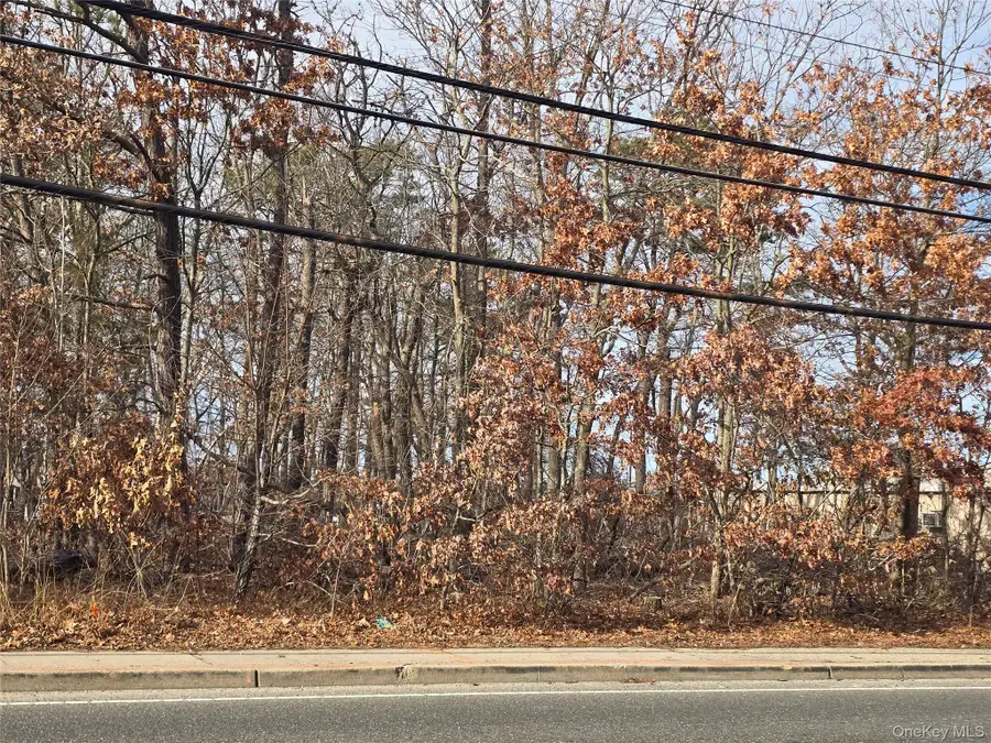 Vacant Land Mastic Road, Shirley, NY 11967 - Image #2