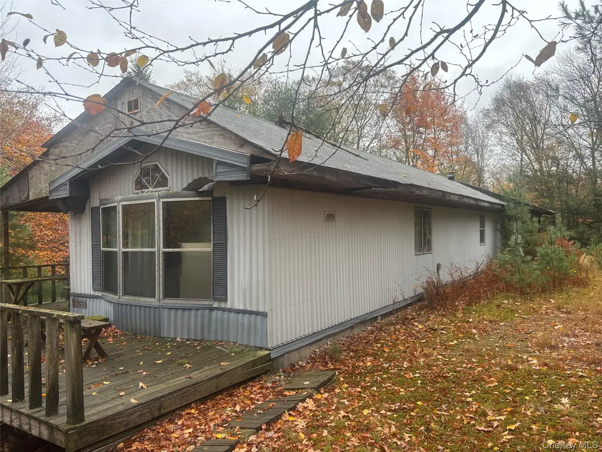 296 Southwoods Drive, Monticello, NY 12701 - #1