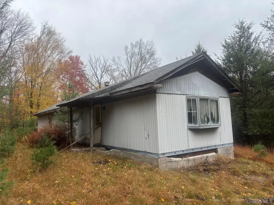 296 Southwoods Drive, Monticello, NY 12701 - #3