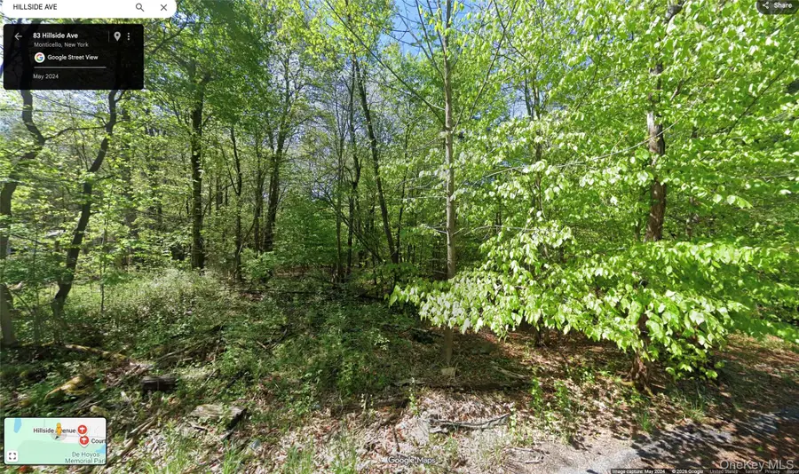 83 Hillside Avenue, Monticello, NY 12701 - #2