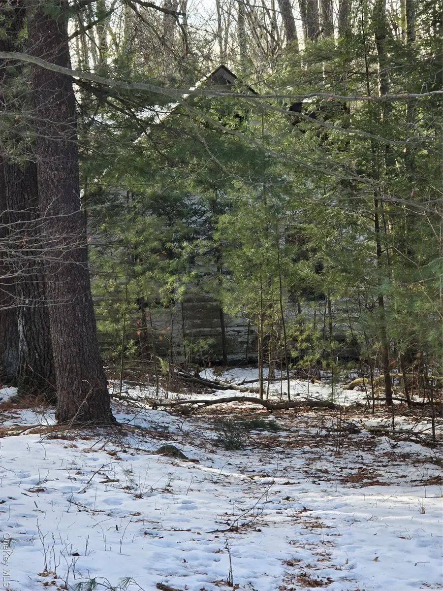 83 Hillside Avenue, Monticello, NY 12701 - #3