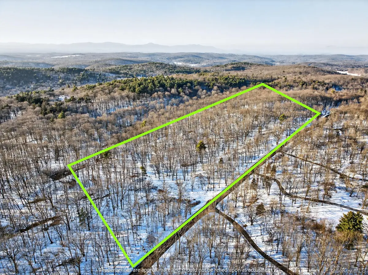 TBD Hicks Hill Road, Pine Plains, NY 12401 - #1
