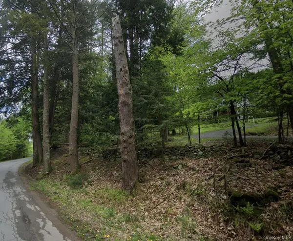 Swallow Trail, Bethel, NY 12720