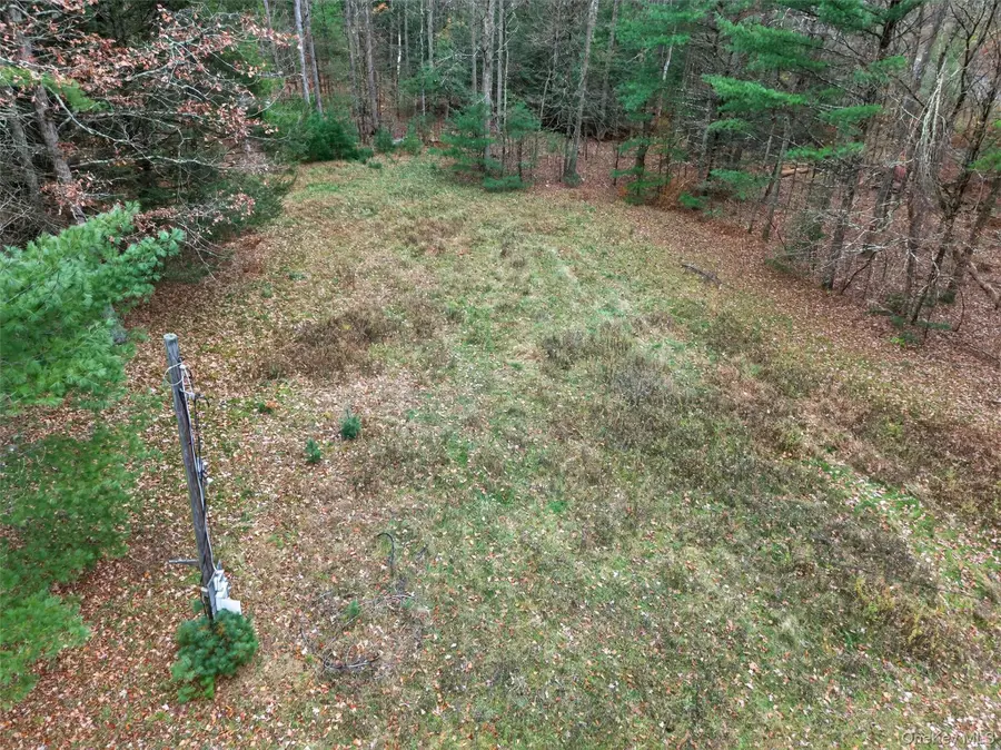 742 Peenpack Trail, Deerpark, NY 12780 - #3