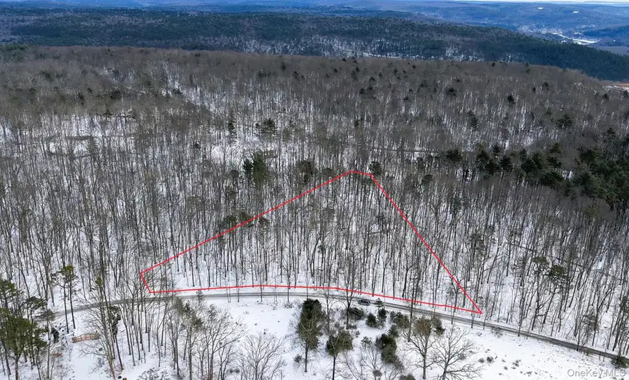 Purple Sage Drive, Barryville, NY 12719 - #2