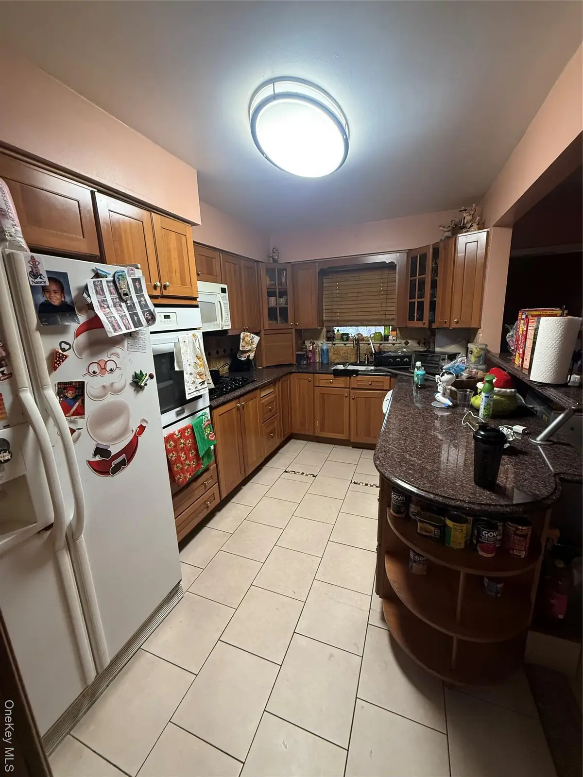 2242 Lacombe Avenue, Bronx, NY 10473 - Image #1