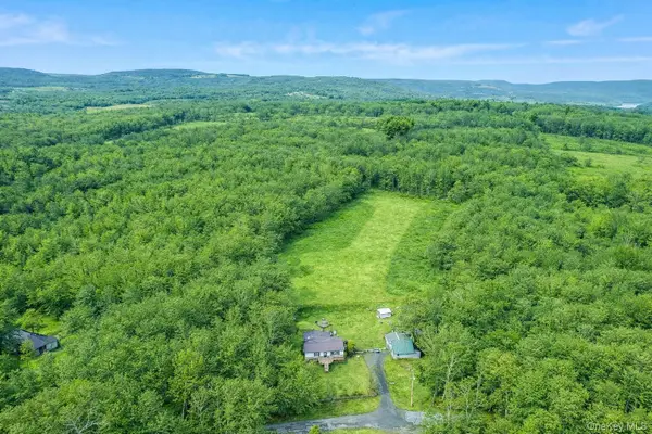 27 Beech Lane, Liberty, NY 12754