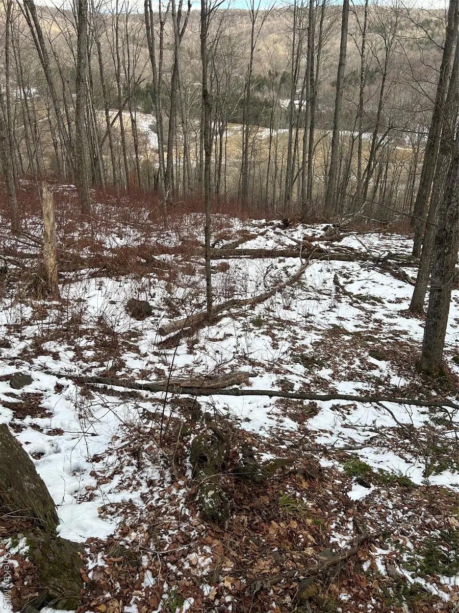 58 County Hwy 36 Kelly Corners-denver-vega Road, Middletown, NY 12445 - #2