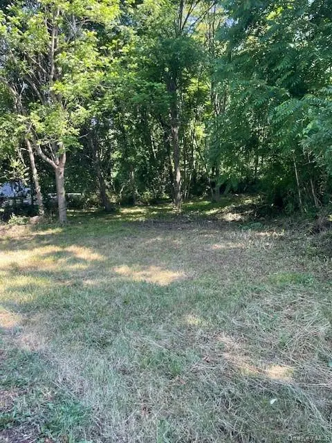 49 E Market Street, Hyde Park, NY 12538 - Image #1