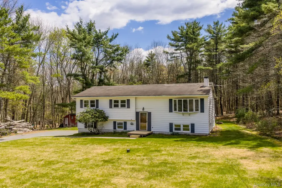 87 Airport Road, Eldred, NY 12732 - #2