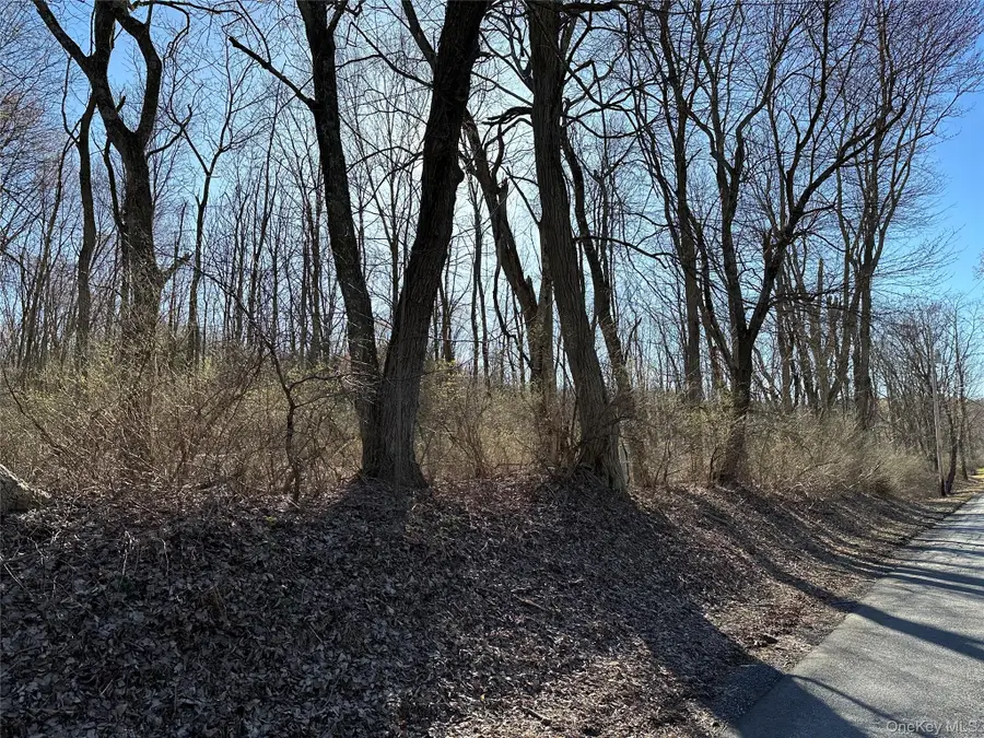 Schoolhouse Road, Staatsburg, NY 12580 - #2