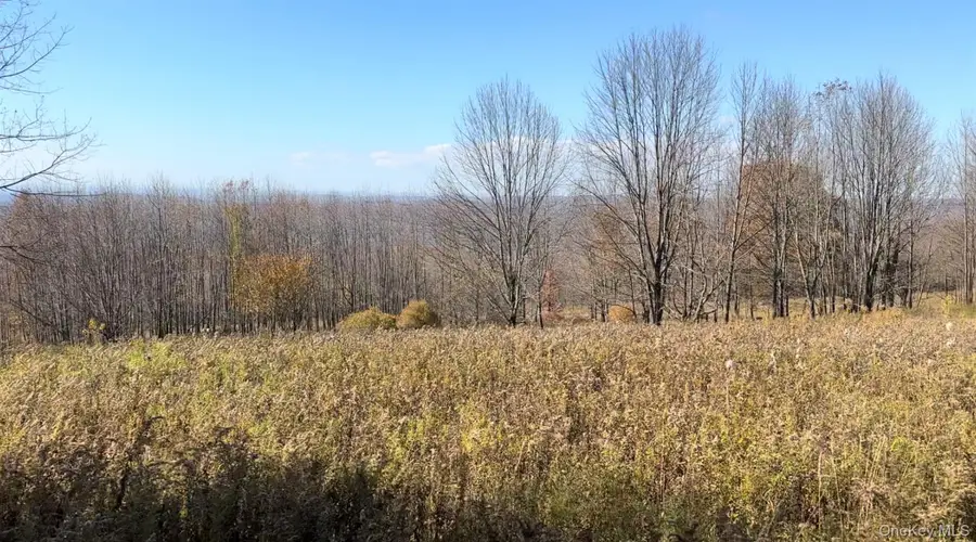 Chaffee Road, Liberty, NY 12754 - #3