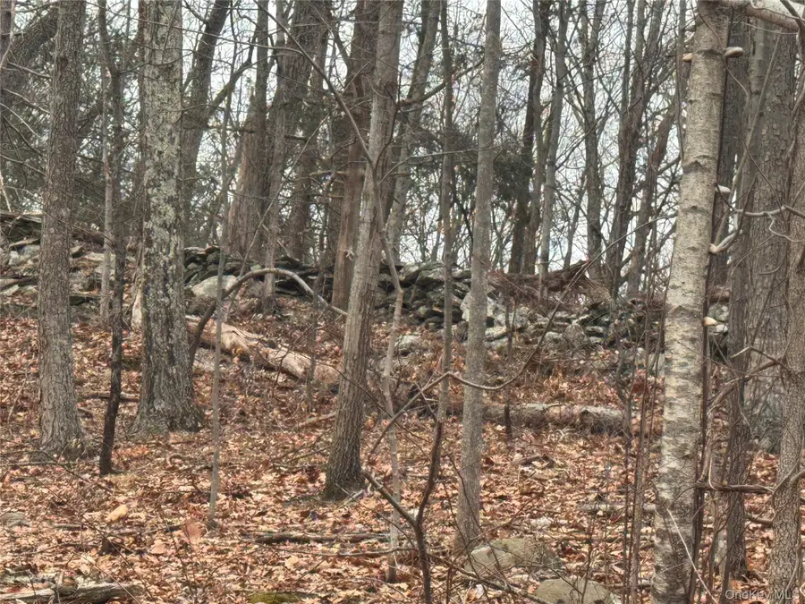 17 Vanessa Lane, Staatsburg, NY 12580 - #3