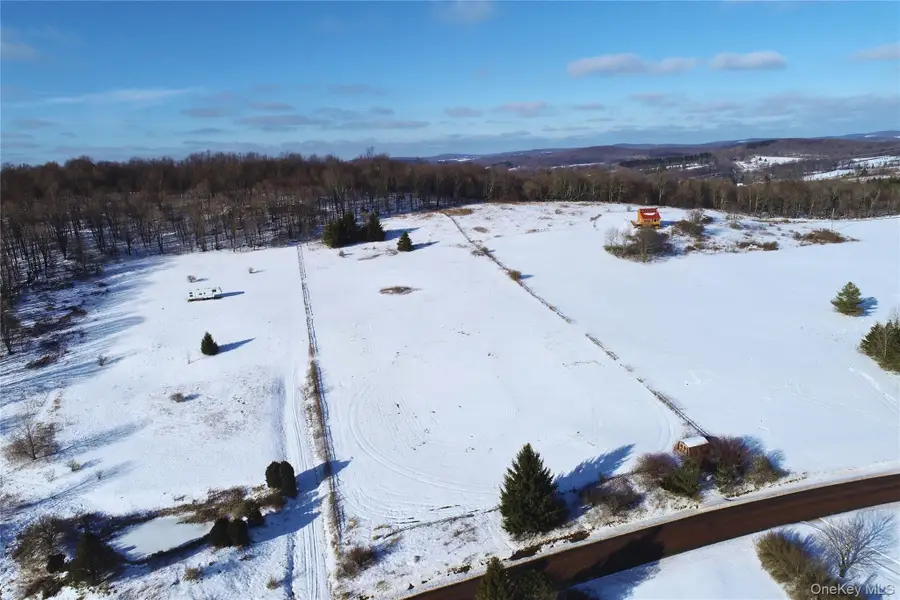 Lot 41-42 Hamden Hill Road, Hamden, NY 13782 - Image #2