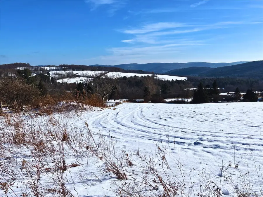 Lot 41-42 Hamden Hill Road, Hamden, NY 13782 - Image #3