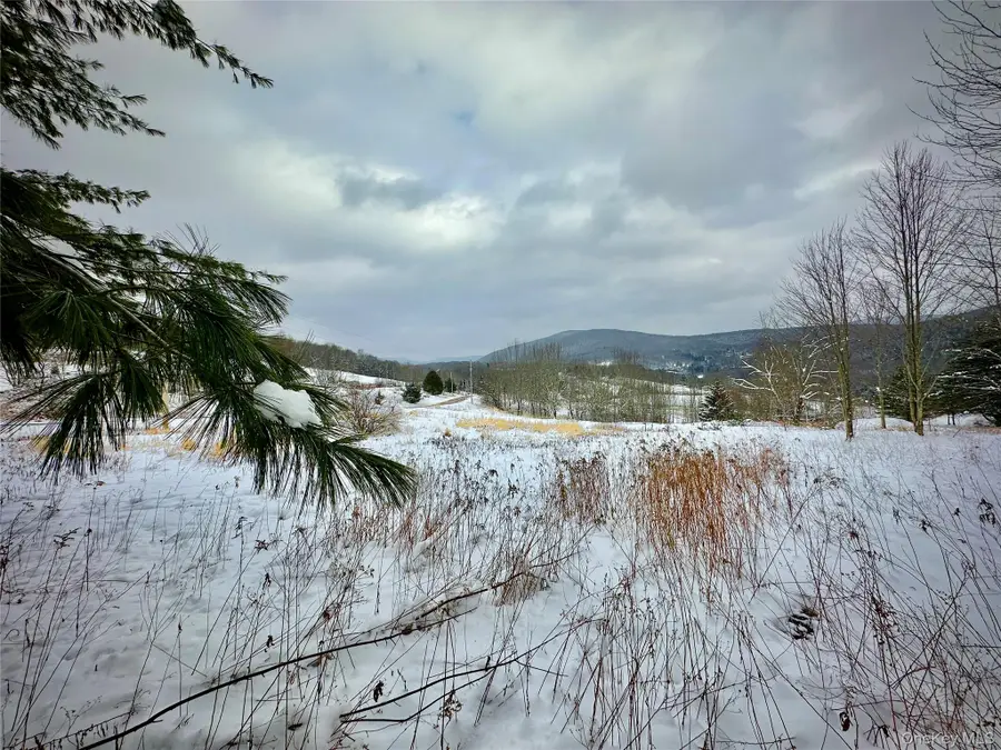 Quail Ridge Road, Margaretville, NY 12455 - #2