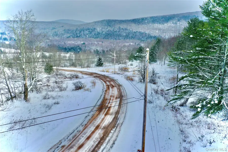 Quail Ridge Road, Margaretville, NY 12455 - #3