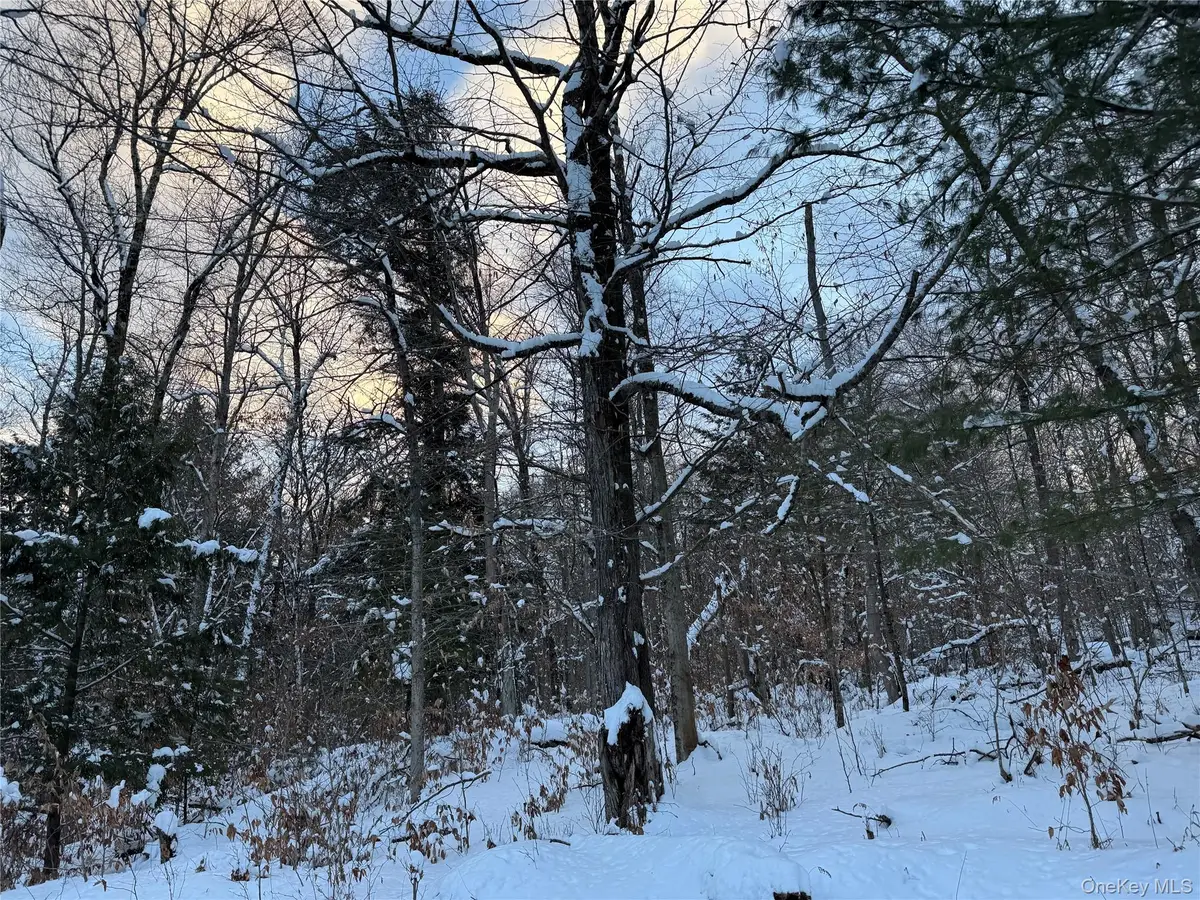 00 Starlight Road, Monticello, NY 12701 - #1