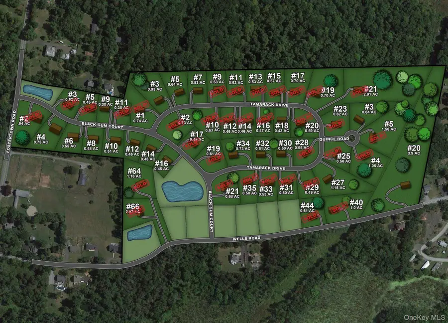 20 Wells Road, Newburgh, NY 12550 - Image #3