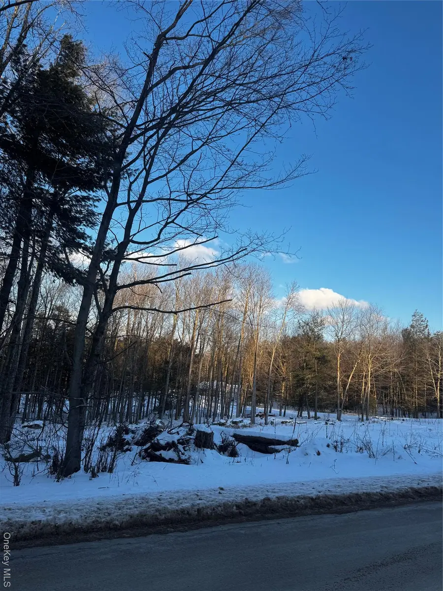 000 Drake Road, Neversink, NY 12765 - #3