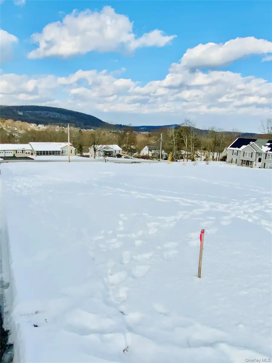 TBD Smith Terrace, Lloyd, NY 12528 - #3