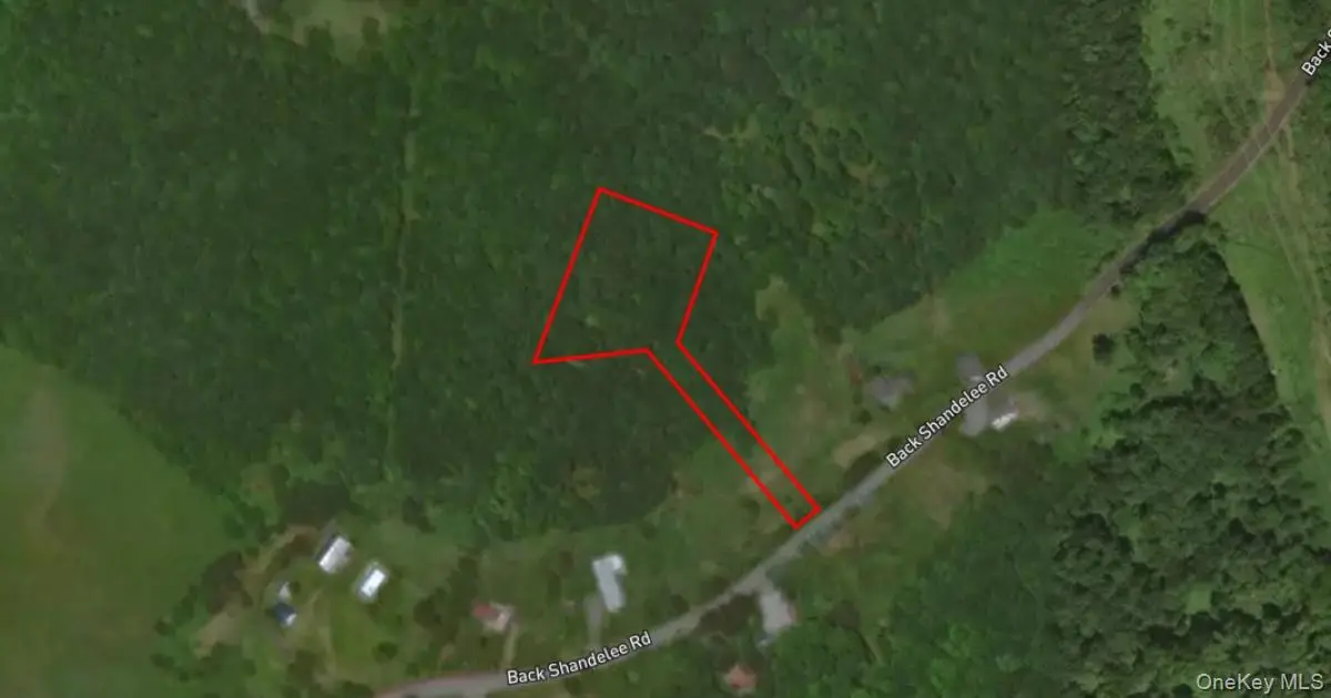 Lot 1 Back Shandelee Road, Livingston Manor, NY 12758 - Image #1