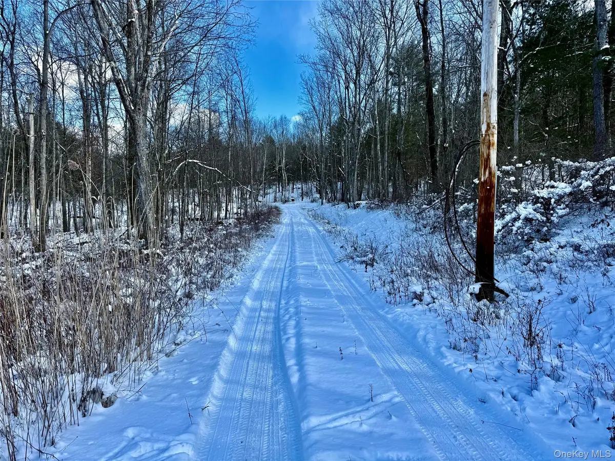 266 Pitts Road, Old Chatham, NY 12136 - Image #1